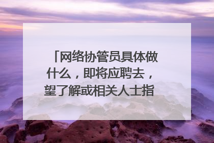 网络协管员具体做什么,即将应聘去,望了解或相关人士指点迷津!谢谢