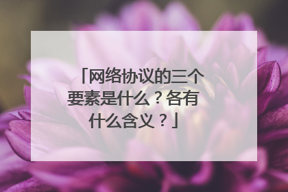 网络协议的三个要素是什么？各有什么含义？