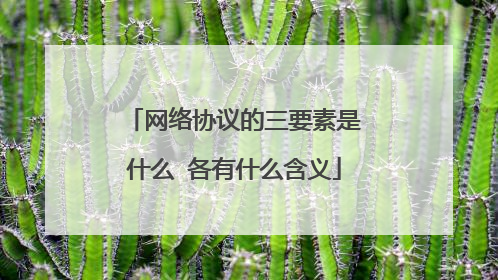 网络协议的三要素是什么 各有什么含义