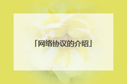网络协议的介绍