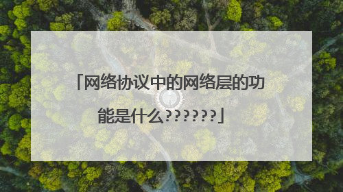 网络协议中的网络层的功能是什么??????