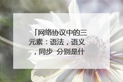 网络协议中的三元素：语法，语义，同步 分别是什么意思？？？？