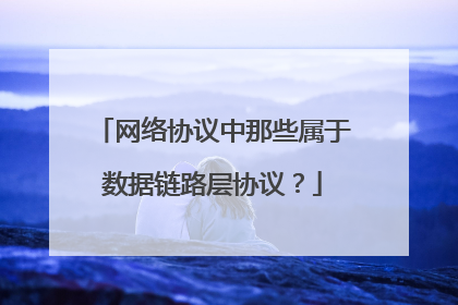 网络协议中那些属于数据链路层协议？