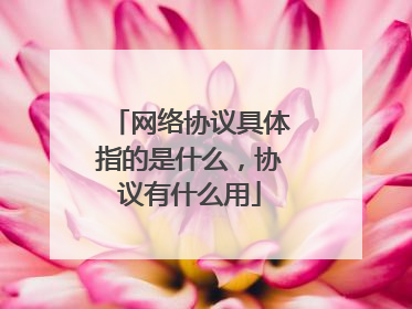 网络协议具体指的是什么，协议有什么用