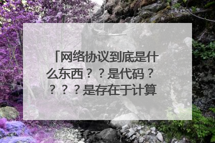 网络协议到底是什么东西？？是代码？？？？是存在于计算机中的吗？？？