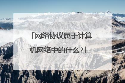 网络协议属于计算机网络中的什么?