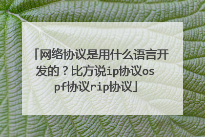 网络协议是用什么语言开发的?比方说ip协议ospf协议rip协议