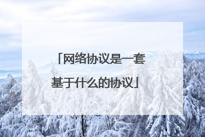 网络协议是一套基于什么的协议