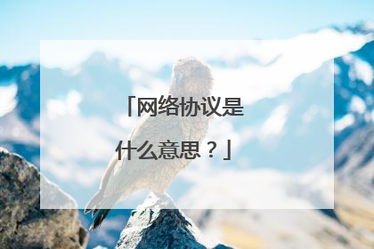 网络协议是什么意思？