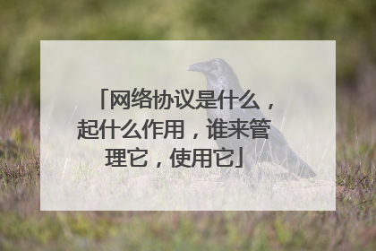 网络协议是什么,起什么作用,谁来管理它,使用它