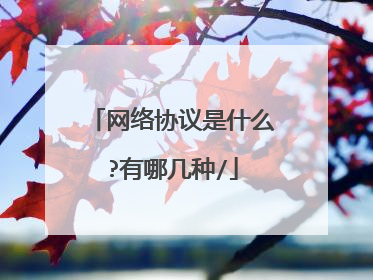网络协议是什么?有哪几种/