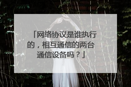 网络协议是谁执行的,相互通信的两台通信设备吗?