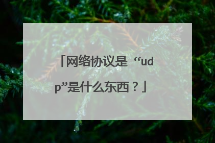 网络协议是 “udp”是什么东西？