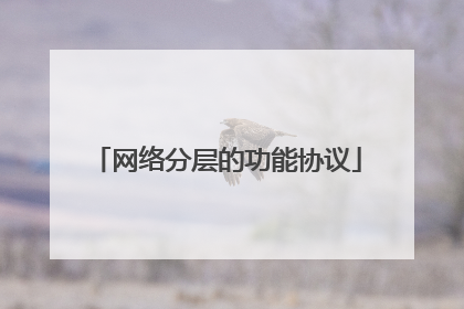 网络分层的功能协议