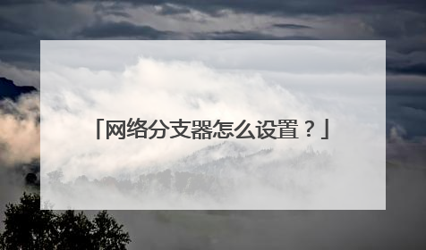 网络分支器怎么设置？