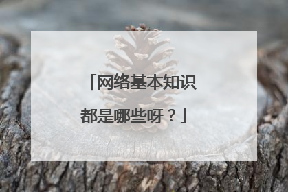 网络基本知识都是哪些呀?