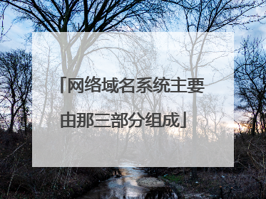 网络域名系统主要由那三部分组成