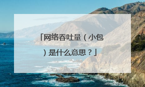 网络吞吐量（小包）是什么意思？