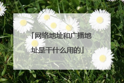 网络地址和广播地址是干什么用的
