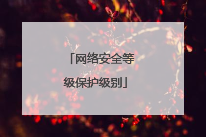 网络安全等级保护级别