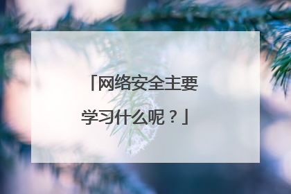 网络安全主要学习什么呢?