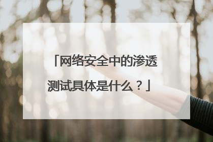 网络安全中的渗透测试具体是什么?