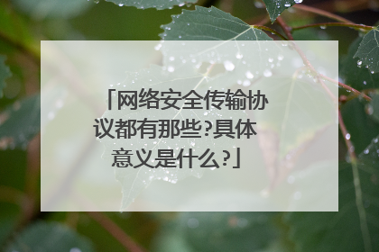 网络安全传输协议都有那些?具体意义是什么?
