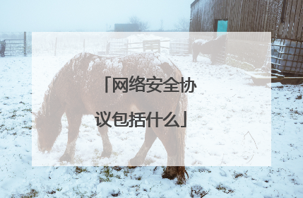 网络安全协议包括什么