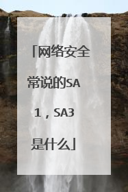 网络安全常说的SA1，SA3是什么