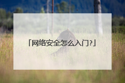 网络安全怎么入门?