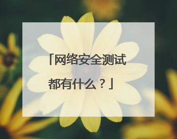 网络安全测试都有什么?
