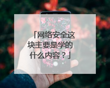 网络安全这块主要是学的什么内容?