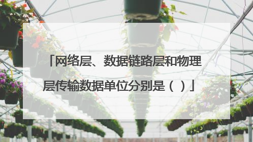 网络层、数据链路层和物理层传输数据单位分别是（）