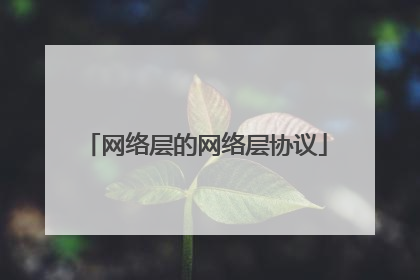 网络层的网络层协议