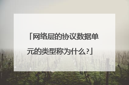 网络层的协议数据单元的类型称为什么?