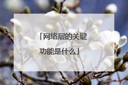 网络层的关键功能是什么