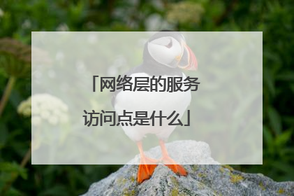 网络层的服务访问点是什么