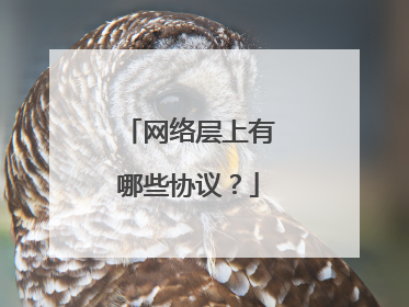 网络层上有哪些协议？