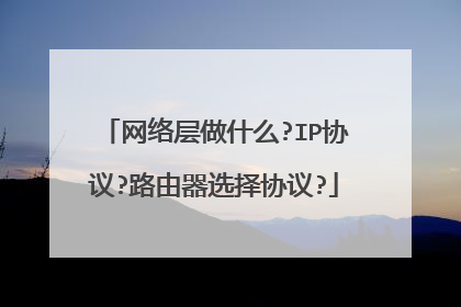 网络层做什么?IP协议?路由器选择协议?