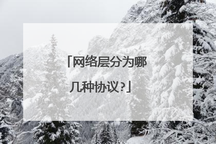 网络层分为哪几种协议?