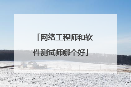 网络工程师和软件测试师哪个好