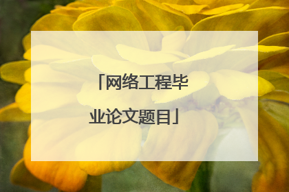 网络工程毕业论文题目