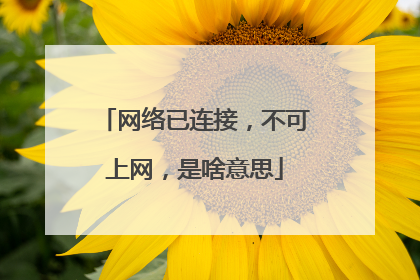 网络已连接，不可上网，是啥意思