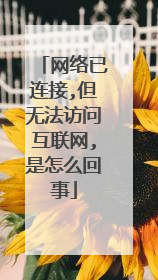 网络已连接,但无法访问互联网,是怎么回事