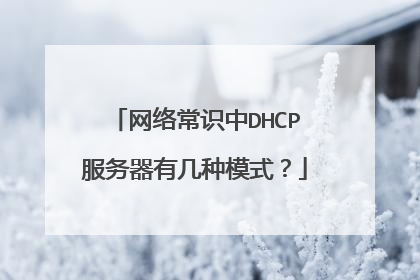 网络常识中DHCP服务器有几种模式？
