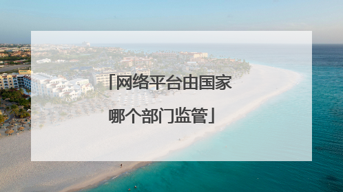 网络平台由国家哪个部门监管