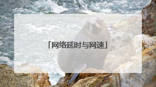 网络延时与网速