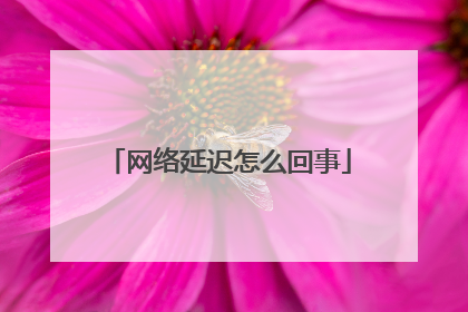 网络延迟怎么回事