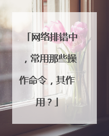 网络排错中，常用那些操作命令，其作用？