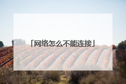 网络怎么不能连接